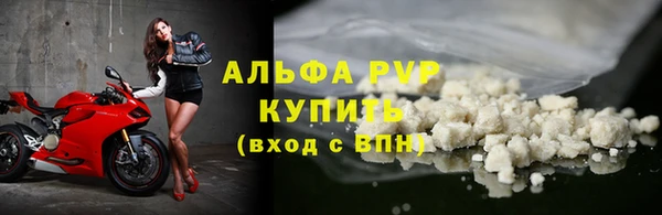 СК Богородицк