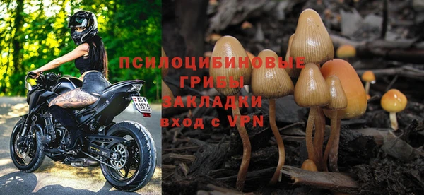 СК Богородицк