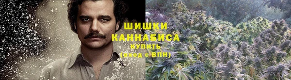 СК Богородицк