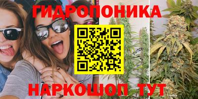 марихуана Аргун