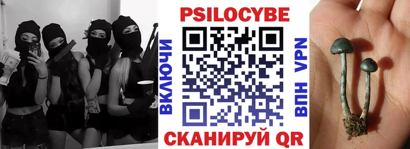 Галлюциногенные грибы мицелий  Верхняя Пышма 