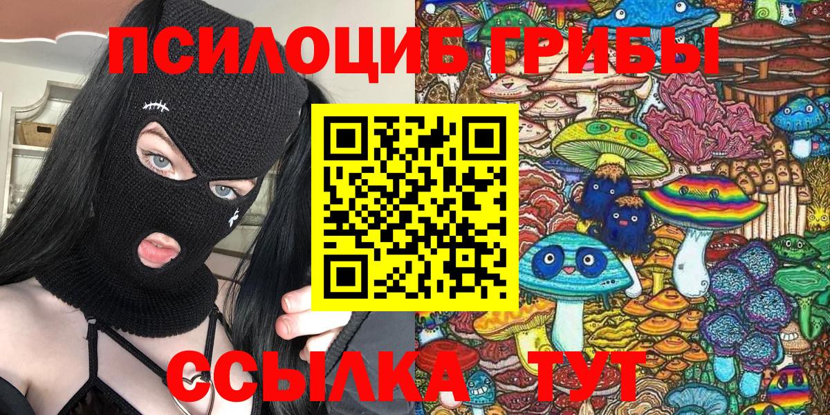 Верхняя Пышма  Галлюциногенные грибы Psilocybine cubensis  Вход с VPN 