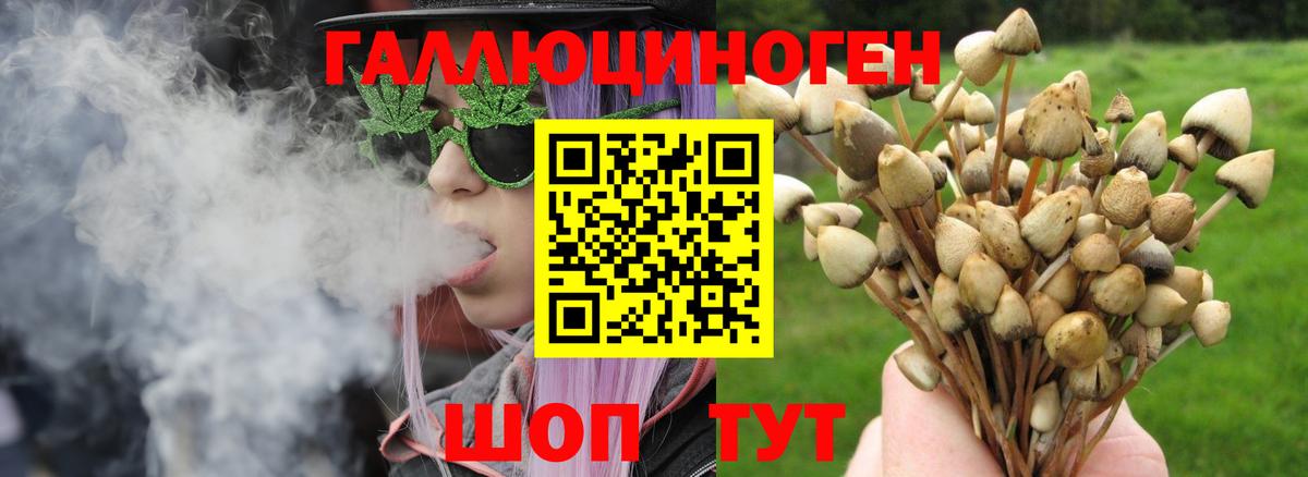 Псилоцибиновые грибы MAGIC MUSHROOMS Верхняя Пышма